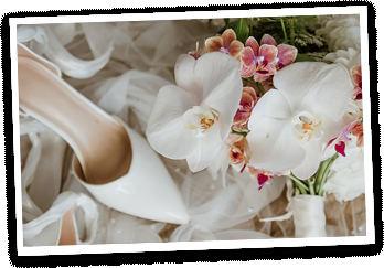 Image is not available