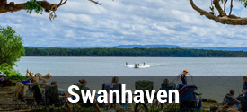 Swanhaven